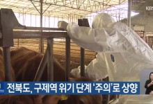 전북도, 구제역 위기 단계 ‘주의’로 상향