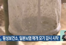 횡성보건소, 일본뇌염 매개 모기 감시 시작