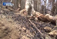 대형 산불에 지반도 약화…곳곳 산사태 위험