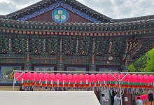 “반목 내려놓고 화합” 불기 2569년 ‘부처님오신날’ 전국서 봉축 법요식