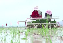북한 “모든 역량·수단 모내기에 집중…농업 승리 개가 올려야”