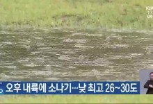 대전·세종·충남 오후 내륙에 소나기…낮 최고 26~30도