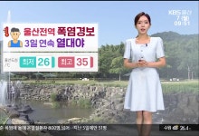 울산 전역 폭염경보…낮 최고 35도[날씨]