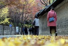 "일교차 커 주의"…아침 최저기온 영하권