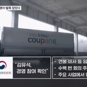 동생 경영 참여에 발목 잡힌 김범석…쿠팡 강력 반발 "행정소송"