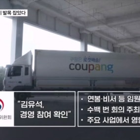 동생 경영 참여에 발목 잡힌 김범석…쿠팡 강력 반발 "행정소송"