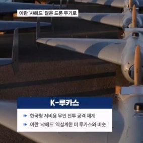 이란 '샤헤드'처럼…우리도 가성비 자폭 드론 'K-루카스' 전력화