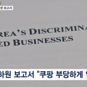 쿠팡 변호 문건 같은 미 하원 보고서…"한국, 미국 기업 차별적 공격"