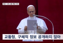레오 14세 교황 폐암 진단 받아 오른쪽 폐 일부 절제 수술
