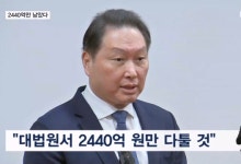 노소영 맞상고 포기, 최태원 재상고로 대법원 최종 심리