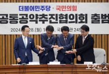 여야 '민생공통공약 추진협의체' 출범…"싸울 때 싸워도 민생"