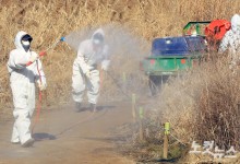 전북서 조류인플루엔자 최다…김제서 8만 5천마리 살처분