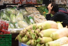 배추·무 등 노지채소 가격 전달보다 3.8% 올라…비축 물량 공급 확대