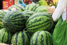 폭염에 수박·배추 일주일 새 20% 이상↑…농축산물값 '비상'