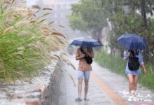 오락가락 비소식 이어져…주말 지나고 기온 '뚝'