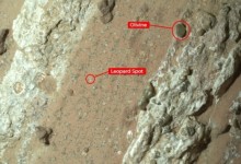 화성에서 생명체 흔적 발견…NASA “미생물 연관된 암석 찾았다”[핵잼 사이언스]
