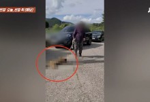 죽은 개 질질 끌고 간 노인… “지인 먹이려고”