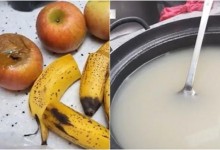 “개 줘도 안 먹을 것” 尹 처가 요양원 노인학대 신고…당국 조사