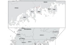 경남 적조로 남해하동 어류 8만여마리 폐사..6년만에 피해 발생