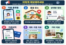 서울시, 무등록 펫시팅 단속 강화…'집에서 하는 영업' 적발