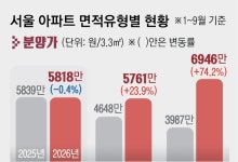 분양가 급등에 서울 청약 80% 소형 쏠림…대형도 2배 증가