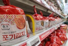 상반기 김치 수출량 2만 3900t '역대 최대'…미국·유럽서 인기