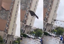 "한국만 무풍" 제13호 태풍 '버빙카'이어 14호 '풀라산'도 중국행
