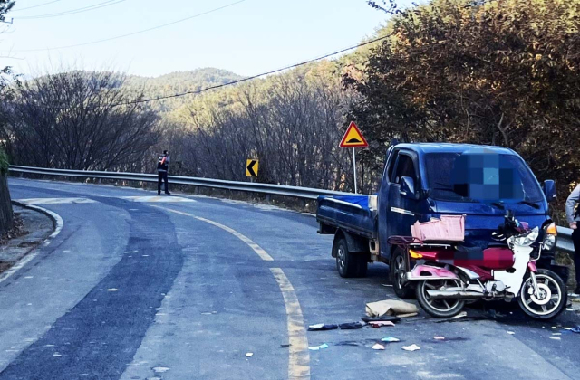 보건소 치매검사 예약 방법 - 보건소 방문 예약 절차