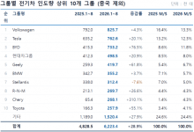 테슬라 8개월 연속 수입차 1위, BYD와 함께 전기차 판도 재편