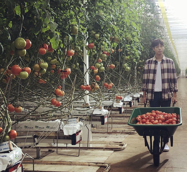 <b>박보검</b>, 농장까지 로맨스로 녹이는 얼굴