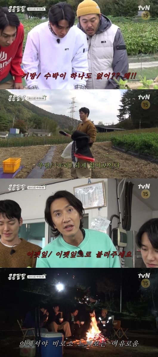 '<b>콩콩팥팥</b>' 김우빈 "우리 진짜 농사 성공이다" 들깨 수확 -> 들기름 짜는 역사...