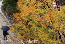 올해 단풍 절정 10월 말 전망…전년보다 2~3일 가량 늦어져