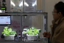 2029년까지 온실 35% 스마트팜 전환…주요 밭작물 주산지 20% 스마트화