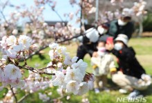 서울 낮 최고 16도·일교차 15도↑…환절기 면역력 챙기려면 '이 음식' 먹어야[오늘 날씨]