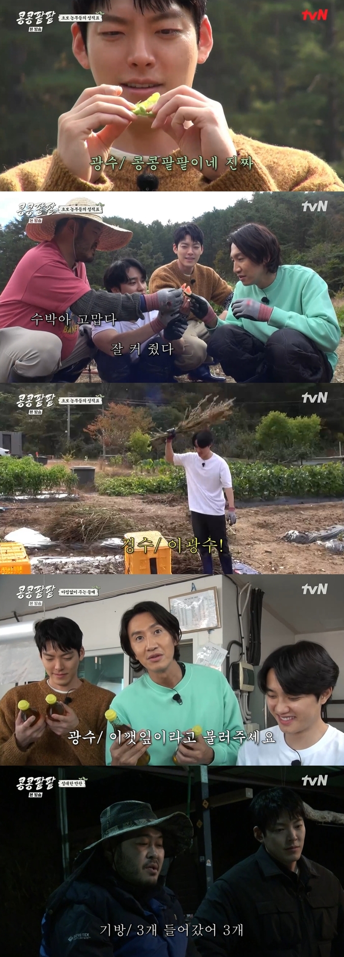 ‘<b>콩콩팥팥</b>’ 직접 키운 들깨로 들기름 만들기 성공