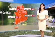 '처서' 무더위 심해져‥요란한 소나기 계속[날씨]