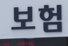 "태풍·산불에 적자전환"…보험사 해외 장사 삐걱