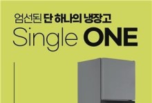 '가격 혁명'…냉장고가 20만원대