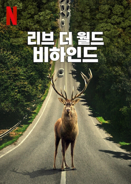 [오!뜨뜨] 60주년 맞은 ‘<b>닥터 후</b>’ 14대 <b>닥터</b>의 마지막 에피소드, 함께 볼까...