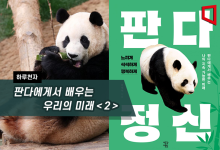 판다에게서 배우는 우리의 미래＜2＞[하루천자]