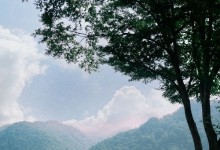 "폰 잠시 내려놓자" 디지털 디톡스 행사…LGU+ 고객 100명 초대