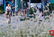 출근길 쌀쌀…일교차 최대 15도까지[내일날씨]