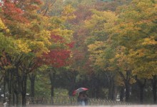 찬 공기 남하…아침 기온 낮고 강한 바람(종합)[날씨]