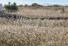 아침 최저기온 영하권…바람 불어 체감온도 '뚝'[내일날씨]