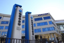 농식품부 "여름 배추·무 출하감소 대비해 가용물량 확대할 것"