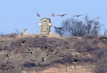 軍, 중서부전선서 MDL넘어 남하 北 민간인 남성 1명 신병확보(종합)