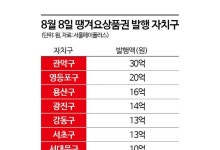 "소비·혜택 확 땡겨요"…자치구 '땡겨요상품권' 143억 발행