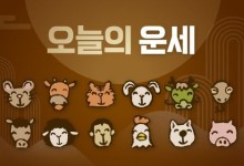 8월 25일 일요일[오늘의 운세]