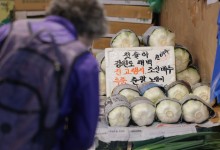 물가협회 “11월 포기당 배춧값 평균 5300원 전망”