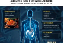 김치 먹으면 살 빠진다…임상시험으로 검증했다